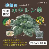 【北海道平取町産】寒締めホウレン草（ちぢみほうれん草）200g×10袋 BRTO003