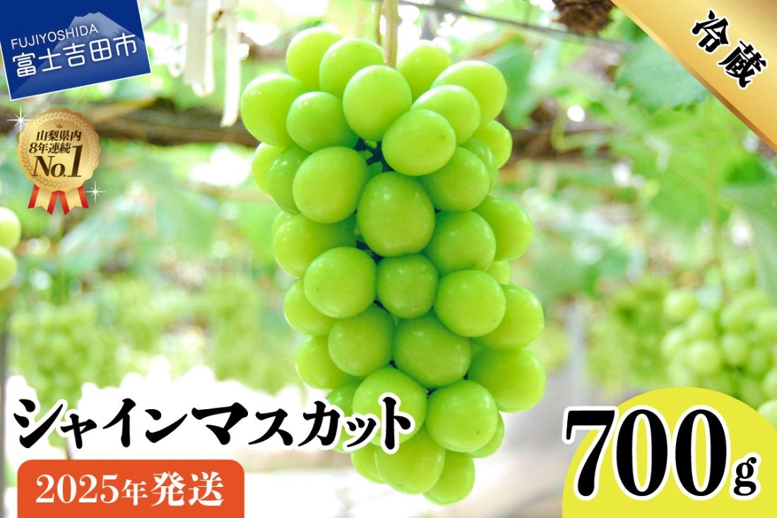 [2025年発送]山梨県産 シャインマスカット700g(1房以上) フルーツ 富士吉田市