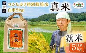 伊賀米コシヒカリ 令和8年産新米（12月末まで）特別栽培米「真米」白米5kg【ymnk0001A】
