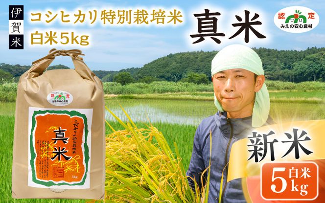 伊賀米コシヒカリ 令和8年産新米（12月末まで）特別栽培米「真米」白米5kg【ymnk0001A】