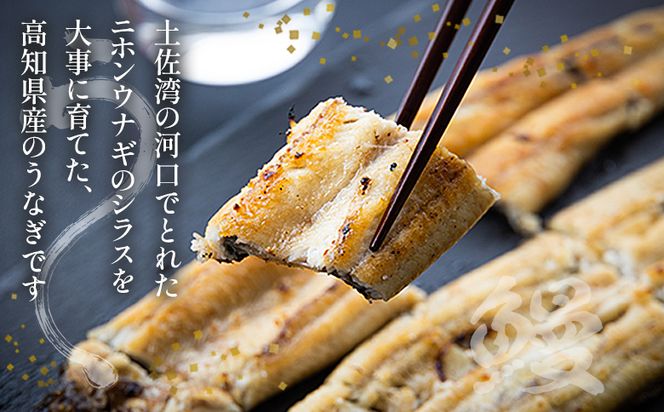 うなぎ 白焼き【10日程度で発送】高知県産鰻の白焼き120～130ｇ 3尾 蒲焼きのタレ3袋 エコ包装 yw-0127