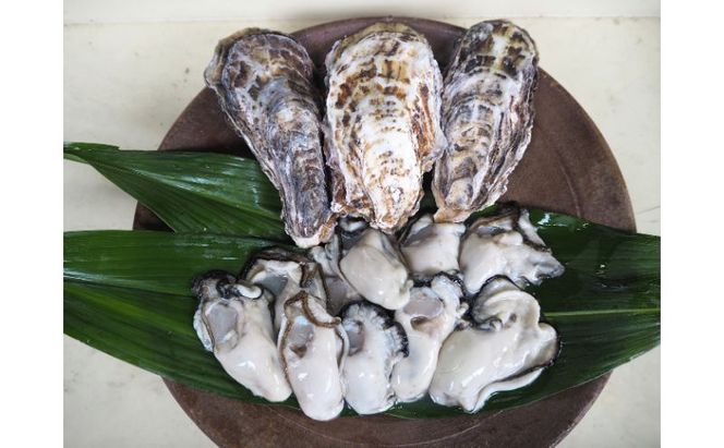 牡蠣 2026年 先行予約 牡蠣むき身 500gと 殻付牡蠣 10個 セット 山銀商店 瀬戸内海虫明湾産 魚介類 カキ かき シーフード 