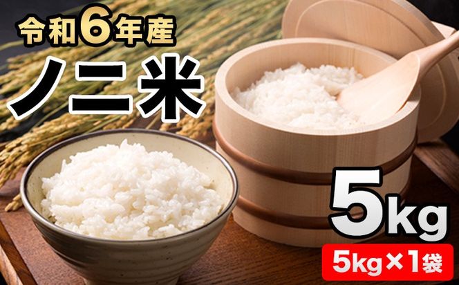 令和6年産  ひのひかり(ノニ米) 約5kg(5kg×1袋) コノCAFE《30日以内に出荷予定(土日祝除く)》---sg_noni4_30d_24_15000_5kg---