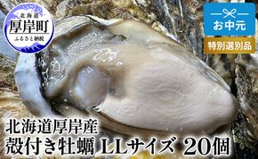 北海道 厚岸産 殻付き 牡蠣 LLサイズ 20個 お中元 特別選別品 魚貝類 生牡蠣 海鮮 海の幸 海産物 ふっくら 濃厚 甘み マルえもん オイスター 生食用殻付カキ 生食用 