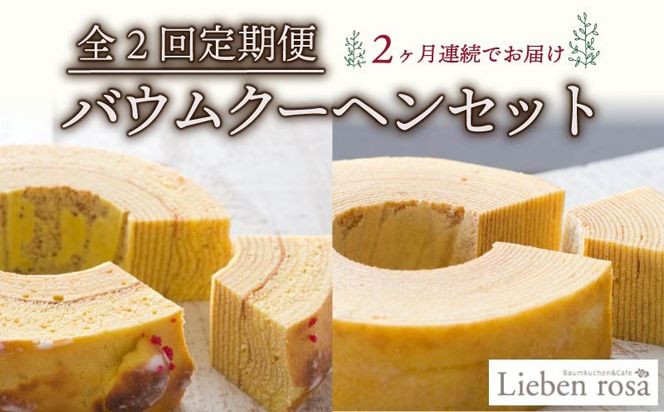 【全2回定期便】バウムクーヘン セット バームクーヘン リーベンバウム グリュックバウム ギフト スイーツ 焼き菓子 洋菓子 お菓子 プレゼント 贈り物 贈答 静岡県 藤枝市 [PT0226-010000]