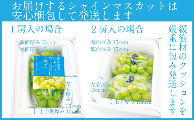 2026年 先行予約受付中 シャインマスカット晴王2房 約1.1kg 岡山県産 種無し 皮ごと食べる みずみずしい 甘い フレッシュ 瀬戸内 晴れの国 おかやま 果物大国 ハレノフルーツ