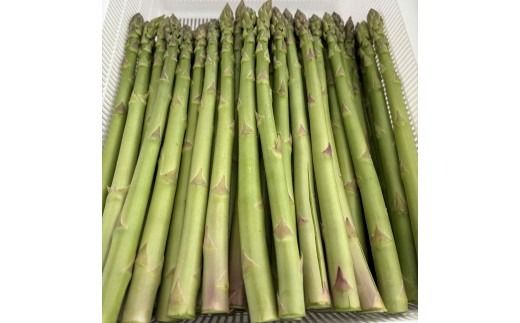 朝採り新鮮アスパラガス 1kg【Lサイズ】 | 野菜 アスパラガス グリーンアスパラ 旬 とれたて 春野菜 春 朝採り 朝採れ とれたて 新鮮 みずみずしい サラダ 甘い お取り寄せ 産地直送 冷蔵 岐阜県 瑞穂市