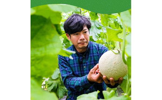 【CF-R7hbk】SKS023　緊急支援　高知県産 高級マスクメロン（ご贈答・ギフト用）1玉入〈南国市共通返礼品〉【発送期間：4月～12月（9カ月）】【1月～3月は気候温度不安定の為出荷不可となります。】