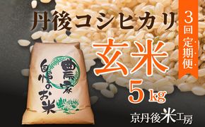 【先行予約】2026年産　京丹後産コシヒカリ 玄米5kg　3回定期便 GB00008