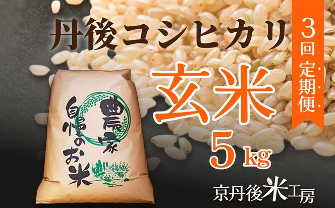 【先行予約】2026年産　京丹後産コシヒカリ 玄米5kg　3回定期便 GB00008