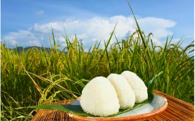 ★配送タイミングを指定できる！ ＜定期便全3回＞ 令和７年産 真庭市産 ひとめぼれ 無洗米 5kg×3回 / お米 岡山県 真庭市 無洗米 米 ひとめぼれ 人気 ブランド米 2025年産 【tkns-tkb007-cho】