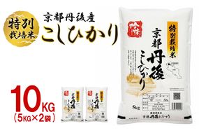 【最高級自慢のお米】京丹後産特別栽培米こしひかり 10kg お米 特別栽培米 精米 白米 ふるさと納税 米 こしひかり おこめ ご飯 丹後コシヒカリ 生産者応援 農家応援 送料無料　LS00006