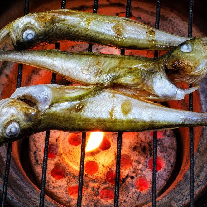 ハタハタ（特々大）干物 一夜干し 450g ×2箱【配送不可：離島】 魚貝類 海鮮 干物 おつまみ 肴 ハタハタ 酒  myz02 myz11 myz17
