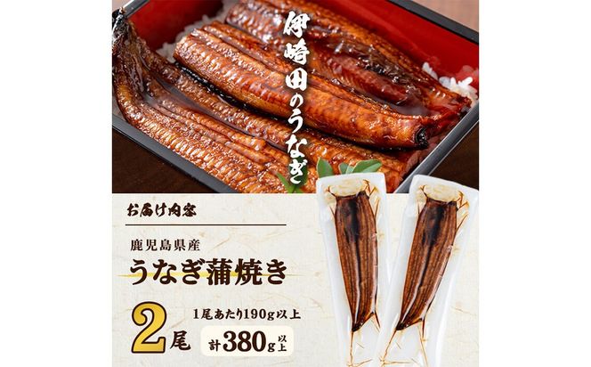 【ギフト対応】【数量限定】鹿児島県産 伊崎田のうなぎ蒲焼 ＜190g以上＞× 2尾(計380g以上) b2-037