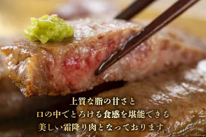 【宮崎牛】 サーロイン ステーキ 200g×2枚 計400g [ローカルブランディング 宮崎県 美郷町 31bb0032] 冷凍 国産 牛 肉 霜降り BBQ バーベキュー 焼肉 牛肉 国産 黒毛 和牛 宮崎県産 ブランド