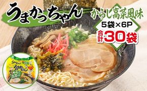 うまかっちゃん　濃厚新味　合計30袋（5袋×6P）ラーメン　とんこつラーメン　とんこつ　袋ラーメン　TY023