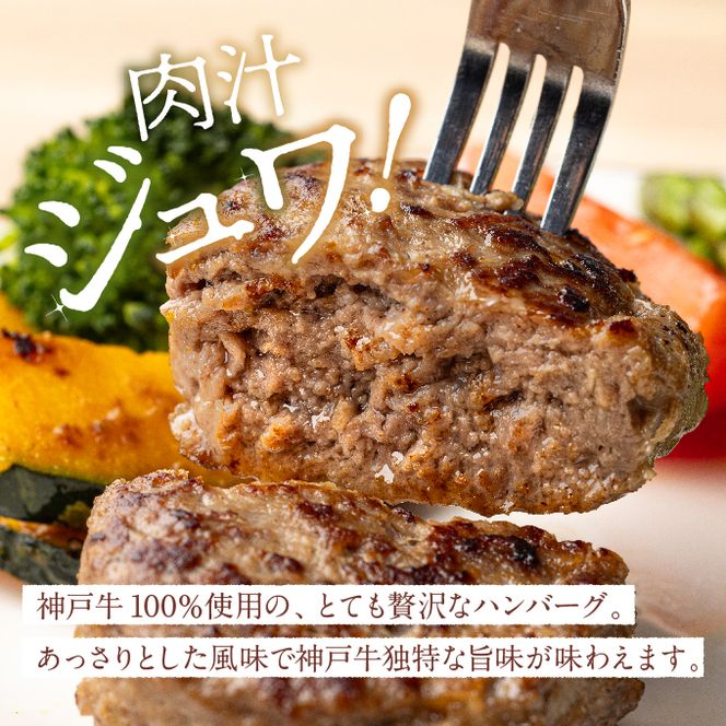神戸牛 100% プレミアムハンバーグカレー セット  国産 小分け 鶏肉 牛肉 レトルトカレー
