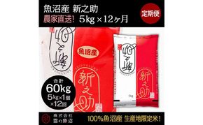 米 定期便 12ヶ月 新之助 5kg 精米 白米 お米 新潟米新之助  新潟米 新潟 十日町市 定期 12回