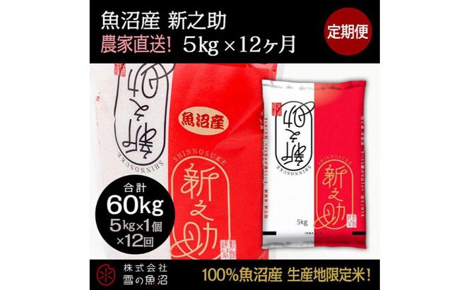 米 定期便 12ヶ月 新之助 5kg 精米 白米 お米 新潟米新之助  新潟米 新潟 十日町市 定期 12回