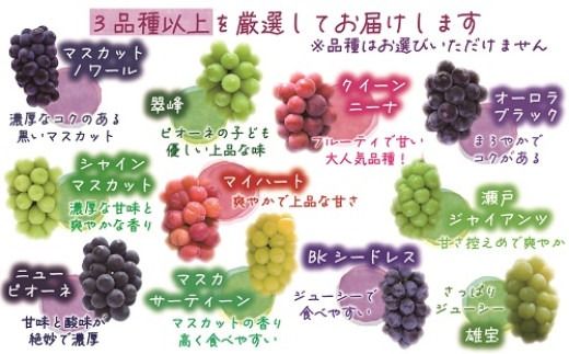 【2026年先行予約】花笑み農園　岡山『ぶどうの宝石箱』３種以上（36粒入り） 【hana051-02】