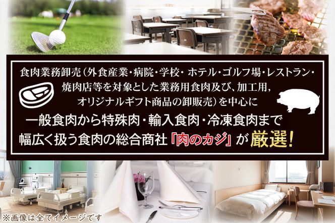 ローズポーク 梅しそ味噌漬け 約500g (ロース200g,ヒレ300g)( 茨城県共通返礼品・茨城県産 ) ブランド豚 茨城 国産 豚肉 冷凍