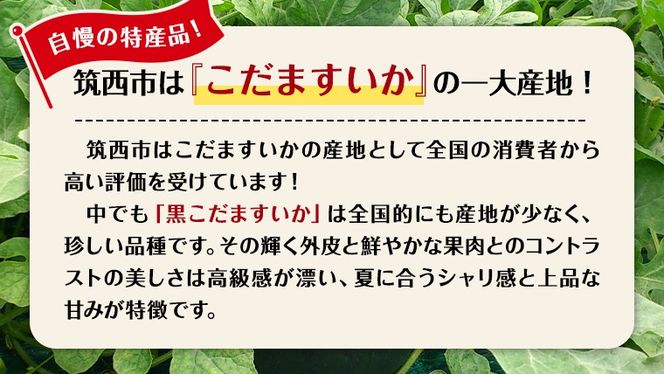 【 JA北つくば 】 黒こだますいか 「 誘惑のひとみ 」 2玉 先行予約 スイカ 果物 フルーツ [AE017ci]