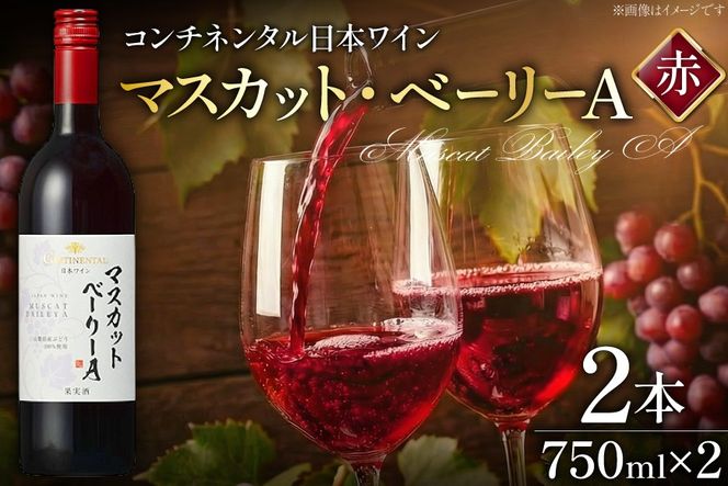 ワイン 赤 コンチネンタル マスカット・ベーリーA 750ml×2本 [サン.フーズ 山梨県 韮崎市 20743138] 赤ワイン 日本ワイン お酒 アルコール