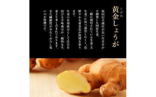 【CF-R7hbk】SNS001　高知県産黄金しょうが2kg -  しょうが ショウガ 生姜 坂田信夫商店 黄金しょうが 高知 国産 生姜焼き しょうが湯 ふるさとのうぜい 故郷納税 8000円 返礼品 高知県産