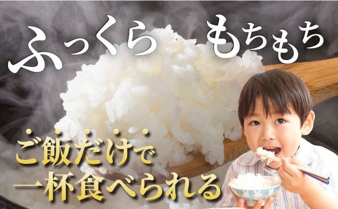 【定期12回】令和7年産 コシヒカリ 10kg×12回 京都丹波産 農家直送 産地直送 スピード配送【～3月31日まで】※北海道･沖縄･離島への配送不可