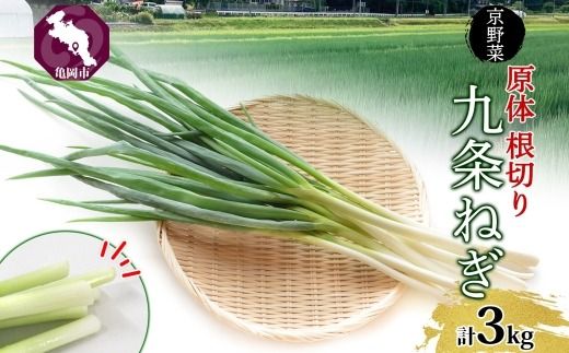 ys{Tsz˂  ؂ 3kg ̂˂͂ b  s{Y K lM [ ǂ X`  ˂Ă  Ɩp  Yn  l ̂ Ήisj w s{ Ts kCEEւ̔zs