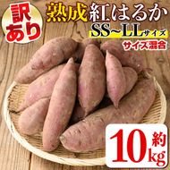 isa877 《訳あり》熟成紅はるか(約10kg・SS～LLサイズ混合) 訳あり さつまいも 紅はるか 鹿児島 生芋 完熟 長期熟成 土付き べにはるか サツマイモ 焼き芋に 【いさ工房】