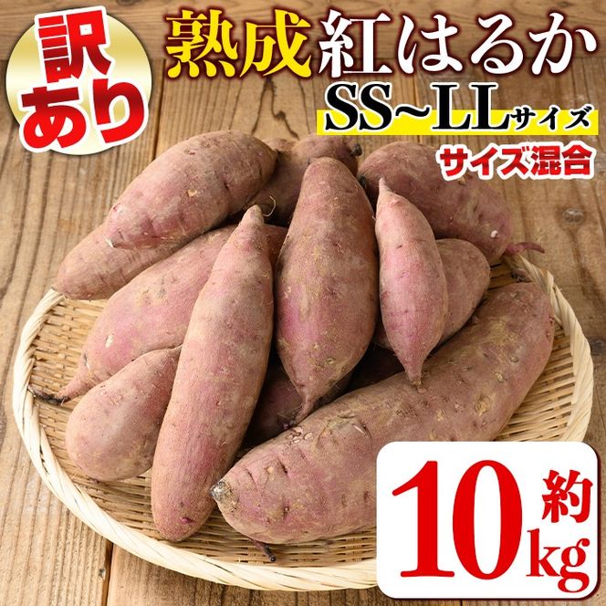 isa877 《訳あり》熟成紅はるか(約10kg・SS～LLサイズ混合) 訳あり さつまいも 紅はるか 鹿児島 生芋 完熟 長期熟成 土付き べにはるか サツマイモ 焼き芋に 【いさ工房】