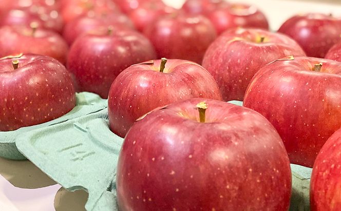 りんご 先行予約 贈答用 サンふじ 特秀 5kg フルーツ 果物 ギフト 2026年 12月 発送