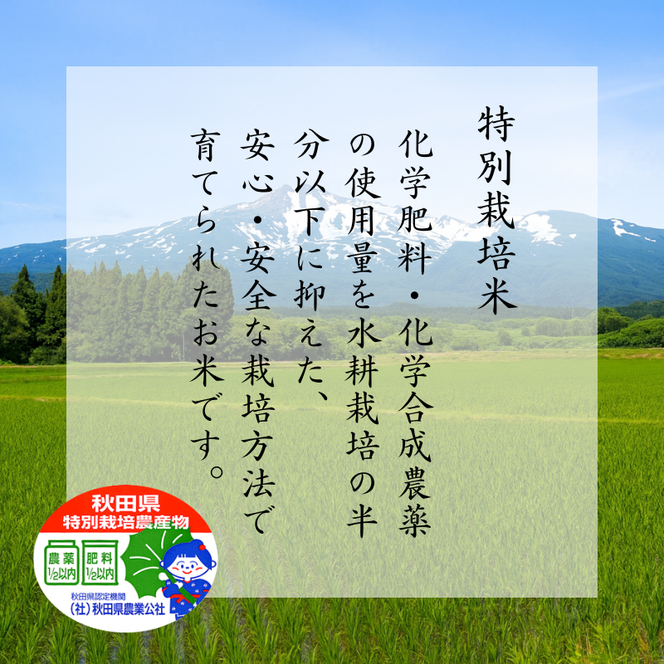 特別栽培米 鰰米 コシヒカリ にかほ 精米 30kg
