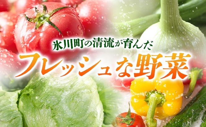 旬の野菜・果物詰め合わせセット 10-15品 氷川町産 道の駅竜北《30日以内に出荷予定(土日祝除く)》熊本県 氷川町 旬 フルーツ 果物 くだもの 野菜 やさい 新鮮---hkw_mer_10_10p---