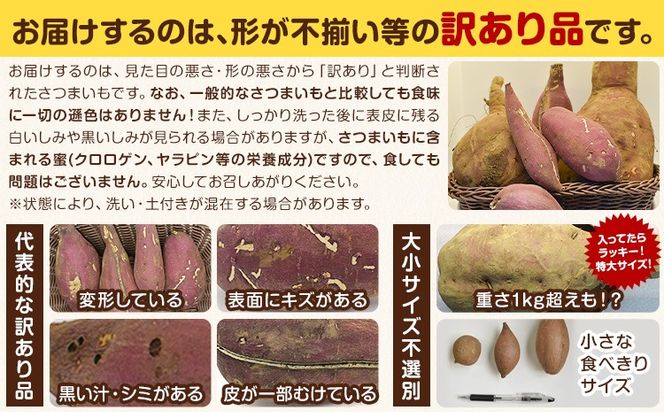 茨城県産 さつまいも こだわり農家の訳ありさつまいも 茨城県結城市産 サイズ不選別 品種おまかせ 選べる 約5kg 約10kg 《1月上旬-3月上旬頃出荷》茨城県 結城市 ご家庭用 お芋 訳あり 紅はるか シルクスイート あまはずき 栗かぐや 品種 お任せ いも 芋---yuki_local_251_5kg---