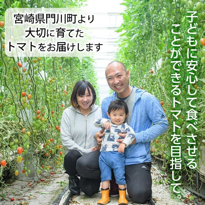 ＜先行予約受付中！2025年11月上旬から順次発送予定＞カラフルトマト食べ比べセット(約1kg) 国産 宮崎県産 とまと 野菜 サラダ 黄色 オレンジ みどり 紫 アイコ 赤 セレブスイート 【KT-9】【K.Tfarm】