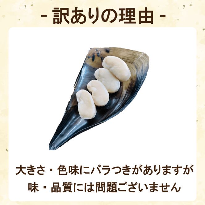 訳あり 平貝 （タイラギ） 4個入り(240～280g) 3パック 冷凍 海鮮  海産物 魚介 ごはん おかず おつまみ お酒 お供 おすすめ 人気 愛知県 南知多町