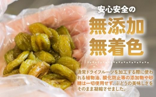 SDGs　ドライフルーツ　シャインマスカット　AD-288
