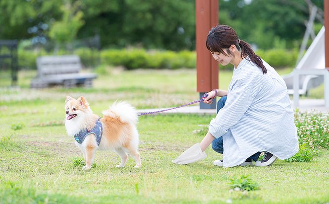 ゴミ袋 ペット 袋 臭わない【90枚×2箱】ペット用防臭袋 Mサイズ PBB-M90 アイリスオーヤマ 白色 防臭 ポリ袋 平袋 ゴミ捨て ゴミ処理 処理袋 匂い 対策 保存 保管 23×38cm 