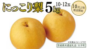 にっこり梨 約5kg (10～12玉)【2026年10月上旬発送開始】(茨城県共通返礼品：大子町) 梨 なし 果物 くだもの フルーツ にっこり