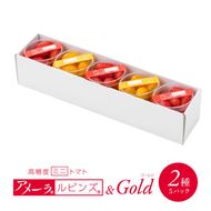 高糖度 ミニトマト アメーラルビンズ ゴールド トマト 5パック セット 糖度 10度 以上 化粧箱入り 産地 直送 新鮮 旬の 野菜 高級 フルーツトマト 甘い ジュース にも 静岡県 藤枝市 ふるさと人気