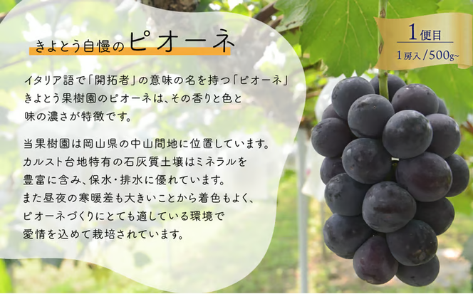 【2026年先行予約】気になる葡萄を試したい！ピオーネ・シャインマスカット・紫苑の3回便(定期便)(岡山県産)【KF-T057-01】