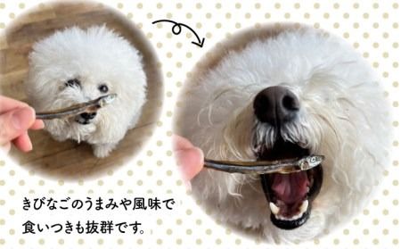 きびなご ジャーキー 40g×3袋 糸島市 / 株式会社コバヤシ【coco.kina】 [ASL009] ドッグフード おやつ きびなご ジャーキー 犬 魚 キビナゴ ドライ 無添加