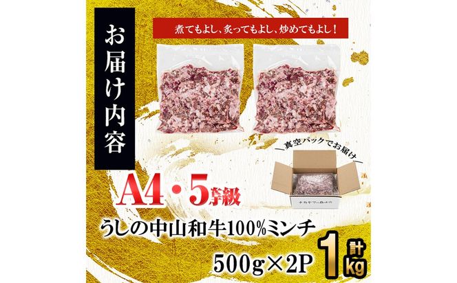 和牛100%ミンチ1kg(500g×2袋) a1-132