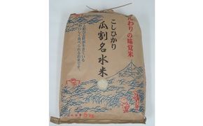 令和8年度産 若狭のコシヒカリ 瓜割名水 米5キロ お米 b1102