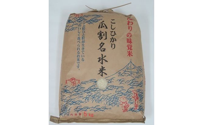 令和8年度産 若狭のコシヒカリ 瓜割名水 米5キロ お米 b1102