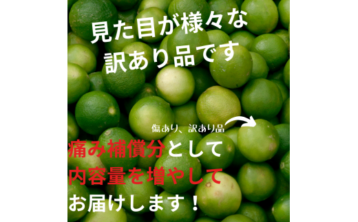 ＜先行予約＞家庭用　黒潮レモン3kg+90g（傷み補償分）【和歌山有田産】【防腐剤・WAX不使用、安心の国産レモン】【わけあり・訳ありレモン】 ※2024年9月上旬頃〜2024年4月下旬頃に順次発送【ikd034B】