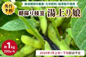 【先行予約／数量限定100】朝採り枝豆（湯上り娘）1kg（栽培期間中農薬・化学肥料・除草剤不使用）（2025年7月上旬～発送）　KU00045