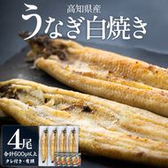 うなぎ白焼 4尾 高知県産うなぎの白焼き 150～180ｇ×4尾 早い スピード発送 7日程度 早く届く スピード配送 エコ包装 国産 うなぎ 白焼き 鰻 冷凍 高知 yw-0116
